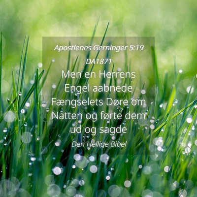 Picture 04 - Apostlenes Gerninger 5:19 DA1871 - Men en Herrens Engel aabnede Fængselets Døre om - Bible Verse Picture