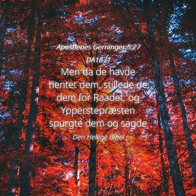 Picture 04 - Apostlenes Gerninger 5:27 DA1871 - Men da de havde hentet dem, stillede de dem for - Bible Verse Picture