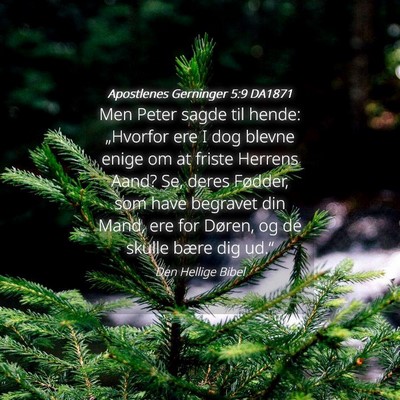 Picture 04 - Apostlenes Gerninger 5:9 DA1871 - Men Peter sagde til hende: „Hvorfor ere I dog - Bible Verse Picture