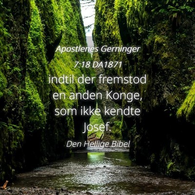 Picture 04 - Apostlenes Gerninger 7:18 DA1871 - indtil der fremstod en anden Konge, som ikke - Bible Verse Picture