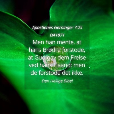 Picture 04 - Apostlenes Gerninger 7:25 DA1871 - Men han mente, at hans Brødre forstode, at Gud - Bible Verse Picture