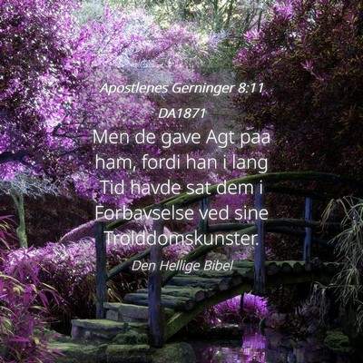 Picture 04 - Apostlenes Gerninger 8:11 DA1871 - Men de gave Agt paa ham, fordi han i lang Tid - Bible Verse Picture