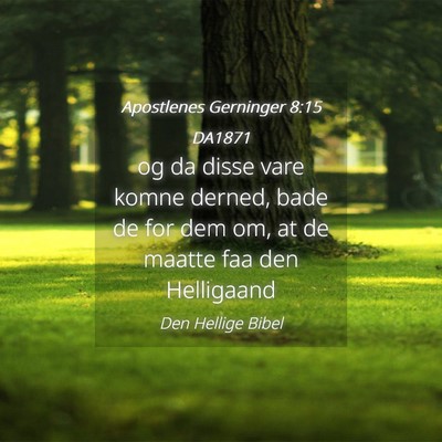 Picture 04 - Apostlenes Gerninger 8:15 DA1871 - og da disse vare komne derned, bade de for dem - Bible Verse Picture