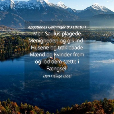 Picture 04 - Apostlenes Gerninger 8:3 DA1871 - Men Saulus plagede Menigheden og gik ind i Husene - Bible Verse Picture