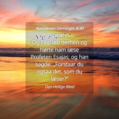 Picture 04 - Apostlenes Gerninger 8:30 DA1871 - Og Filip løb derhen og hørte ham læse Profeten - Bible Verse Picture
