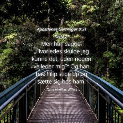 Picture 04 - Apostlenes Gerninger 8:31 DA1871 - Men han sagde: „Hvorledes skulde jeg kunne det, - Bible Verse Picture