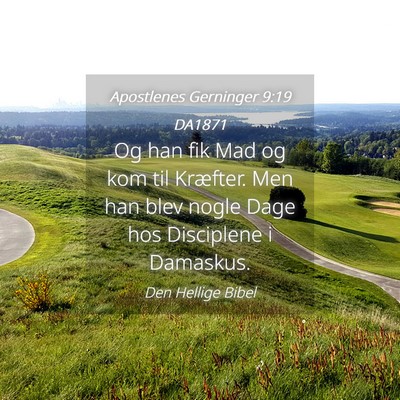 Picture 04 - Apostlenes Gerninger 9:19 DA1871 - Og han fik Mad og kom til Kræfter. Men han blev - Bible Verse Picture