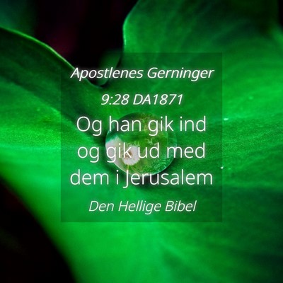 Picture 04 - Apostlenes Gerninger 9:28 DA1871 - Og han gik ind og gik ud med dem i - Bible Verse Picture