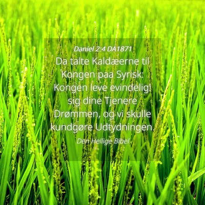 Picture 04 - Daniel 2:4 DA1871 - Da talte Kaldæerne til Kongen paa Syrisk: Kongen - Bible Verse Picture