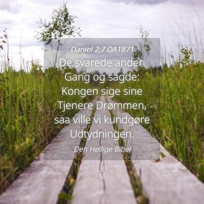 Picture 04 - Daniel 2:7 DA1871 - De svarede anden Gang og sagde: Kongen sige sine - Bible Verse Picture