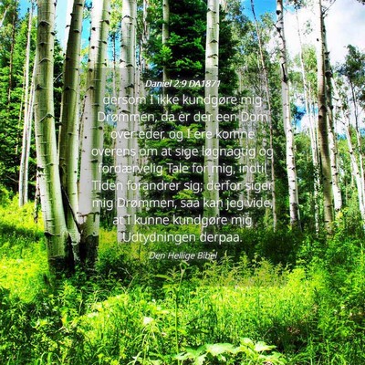 Picture 04 - Daniel 2:9 DA1871 - dersom I ikke kundgøre mig Drømmen, da er der - Bible Verse Picture