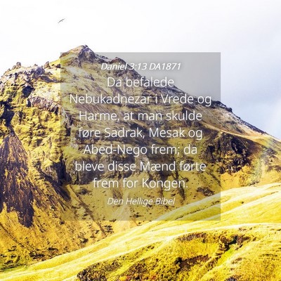 Picture 04 - Daniel 3:13 DA1871 - Da befalede Nebukadnezar i Vrede og Harme, at man - Bible Verse Picture