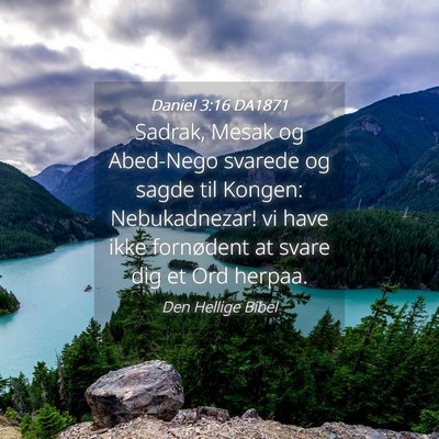Picture 04 - Daniel 3:16 DA1871 - Sadrak, Mesak og Abed-Nego svarede og sagde til - Bible Verse Picture
