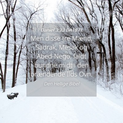 Picture 04 - Daniel 3:23 DA1871 - Men disse tre Mænd, Sadrak, Mesak og Abed-Nego, - Bible Verse Picture
