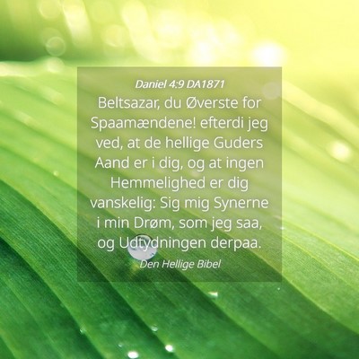Picture 04 - Daniel 4:9 DA1871 - Beltsazar, du Øverste for Spaamændene! efterdi - Bible Verse Picture
