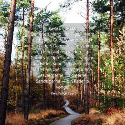 Picture 04 - Daniel 5:11 DA1871 - Der er en Mand i dit Rige, i hvem de hellige - Bible Verse Picture