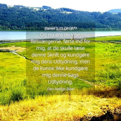 Picture 04 - Daniel 5:15 DA1871 - Og nu ere de vise, Besværgerne, førte ind for - Bible Verse Picture