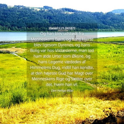 Picture 04 - Daniel 5:21 DA1871 - Og han blev udstødt fra Menneskens Børn, og - Bible Verse Picture