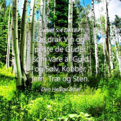 Picture 04 - Daniel 5:4 DA1871 - De drak Vin og priste de Guder, som vare af Guld - Bible Verse Picture