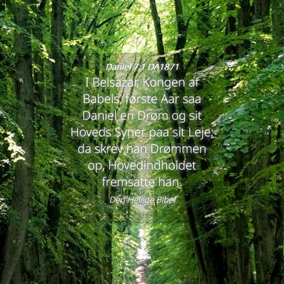 Picture 04 - Daniel 7:1 DA1871 - I Belsazar, Kongen af Babels, første Aar saa - Bible Verse Picture