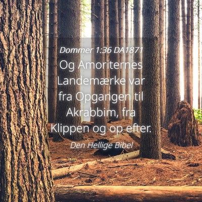Picture 04 - Dommer 1:36 DA1871 - Og Amoriternes Landemærke var fra Opgangen til - Bible Verse Picture