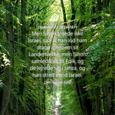 Picture 04 - Dommer 11:20 DA1871 - Men Sihon troede ikke Israel, saa at han lod ham - Bible Verse Picture