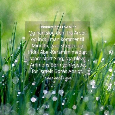 Picture 04 - Dommer 11:33 DA1871 - Og han slog dem fra Aroer, og indtil man kommer - Bible Verse Picture