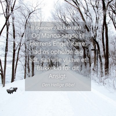 Picture 04 - Dommer 13:15 DA1871 - Og Manoa sagde til Herrens Engel: Kære, lad os - Bible Verse Picture