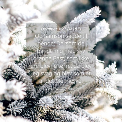 Picture 04 - Dommer 16:7 DA1871 - Og Samson sagde til hende: Dersom de bandt mig - Bible Verse Picture