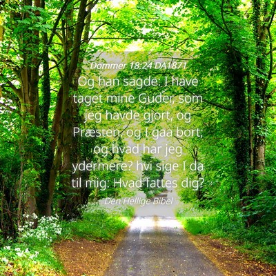Picture 04 - Dommer 18:24 DA1871 - Og han sagde: I have taget mine Guder, som jeg - Bible Verse Picture