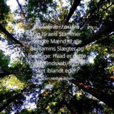 Picture 04 - Dommer 20:12 DA1871 - Og Israels Stammer sendte Mænd til alle - Bible Verse Picture