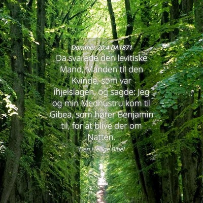 Picture 04 - Dommer 20:4 DA1871 - Da svarede den levitiske Mand, Manden til den - Bible Verse Picture