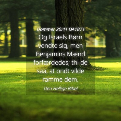 Picture 04 - Dommer 20:41 DA1871 - Og Israels Børn vendte sig, men Benjamins Mænd - Bible Verse Picture
