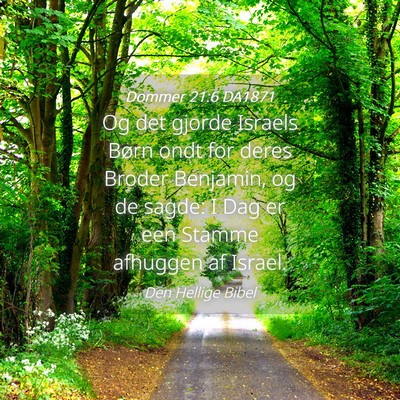 Picture 04 - Dommer 21:6 DA1871 - Og det gjorde Israels Børn ondt for deres Broder - Bible Verse Picture