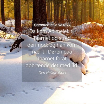 Picture 04 - Dommer 9:52 DA1871 - Da kom Abimelek til Taarnet og stred derimod; og - Bible Verse Picture