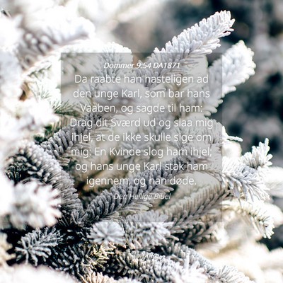 Picture 04 - Dommer 9:54 DA1871 - Da raabte han hasteligen ad den unge Karl, som - Bible Verse Picture