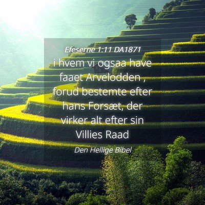Picture 04 - Efeserne 1:11 DA1871 - i hvem vi ogsaa have faaet Arvelodden , forud - Bible Verse Picture