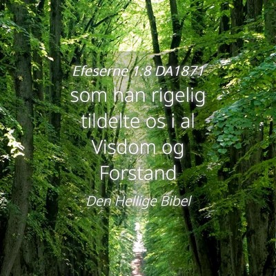 Picture 04 - Efeserne 1:8 DA1871 - som han rigelig tildelte os i al Visdom og - Bible Verse Picture