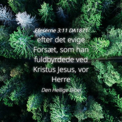 Picture 04 - Efeserne 3:11 DA1871 - efter det evige Forsæt, som han fuldbyrdede ved - Bible Verse Picture