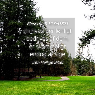 Picture 04 - Efeserne 5:12 DA1871 - thi hvad der lønligt bedrives af dem, er - Bible Verse Picture