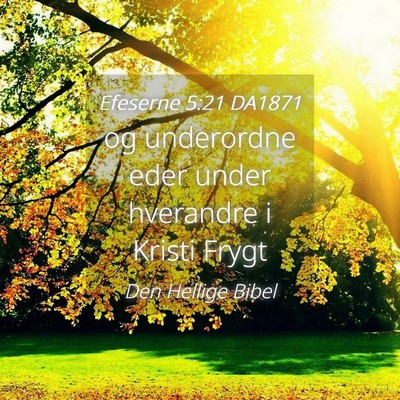 Picture 04 - Efeserne 5:21 DA1871 - og underordne eder under hverandre i Kristi - Bible Verse Picture