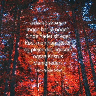 Picture 04 - Efeserne 5:29 DA1871 - Ingen har jo nogen Sinde hadet sit eget Kød, men - Bible Verse Picture