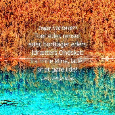 Picture 04 - Esajas 1:16 DA1871 - Toer eder, renser eder, borttager eders - Bible Verse Picture