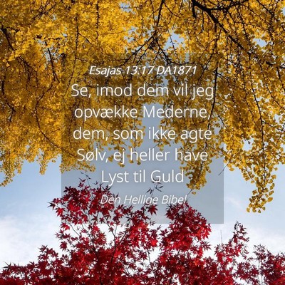 Picture 04 - Esajas 13:17 DA1871 - Se, imod dem vil jeg opvække Mederne, dem, som - Bible Verse Picture