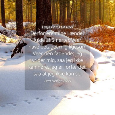 Picture 04 - Esajas 21:3 DA1871 - Derfor ere mine Lænder fulde af Smerter, Veer - Bible Verse Picture