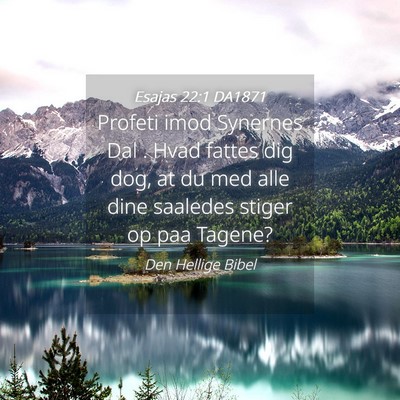 Picture 04 - Esajas 22:1 DA1871 - Profeti imod Synernes Dal . Hvad fattes dig dog, - Bible Verse Picture