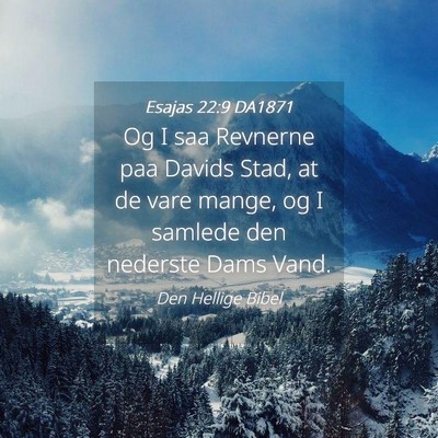 Picture 04 - Esajas 22:9 DA1871 - Og I saa Revnerne paa Davids Stad, at de vare - Bible Verse Picture