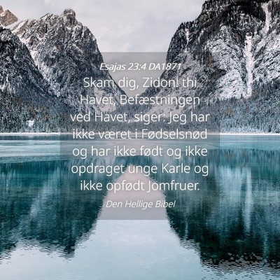 Picture 04 - Esajas 23:4 DA1871 - Skam dig, Zidon! thi Havet, Befæstningen ved - Bible Verse Picture