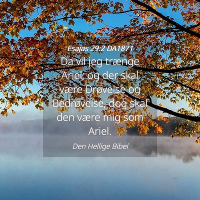 Picture 04 - Esajas 29:2 DA1871 - Da vil jeg trænge Ariel; og der skal være - Bible Verse Picture