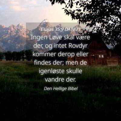 Picture 04 - Esajas 35:9 DA1871 - Ingen Løve skal være der, og intet Rovdyr - Bible Verse Picture